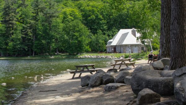 «Подводные камни» при приобретении участков бывших пионерлагерей