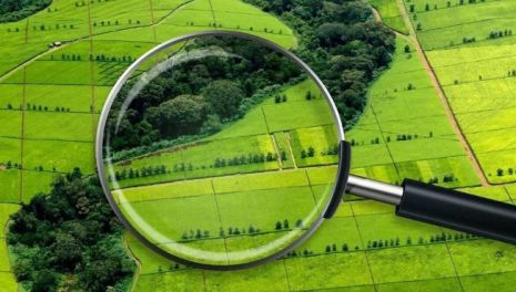 Что такое ЗОУИТ и как проверить участок, чтобы избежать проблем