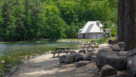 «Подводные камни» при приобретении участков бывших пионерлагерей