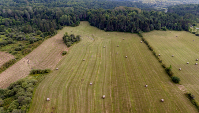 Земельный вопрос: как работать с перераспределением участков