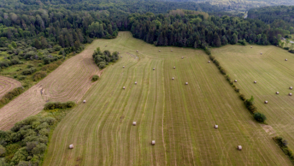 Земельный вопрос: как работать с перераспределением участков