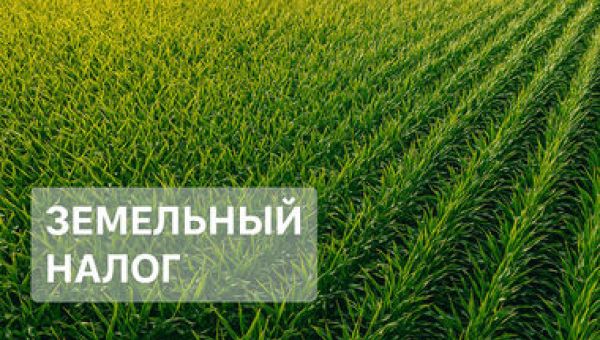 Земельный налог: особенности