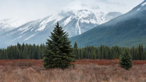 Участок для турбизнеса: охота на первичном рынке