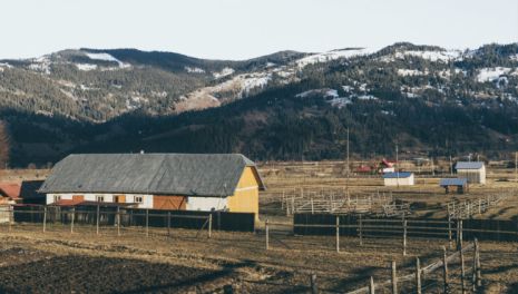 Земли сельскохозяйственного назначения: от деградации к трансформации