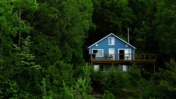 Иваныч и дом на дереве