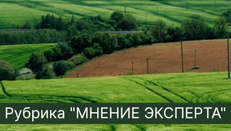 Сельхозугодья – проблемы использования