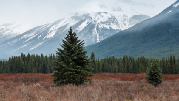 Участок для турбизнеса: охота на первичном рынке