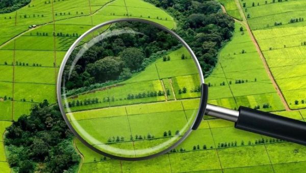 Что такое ЗОУИТ и как проверить участок, чтобы избежать проблем